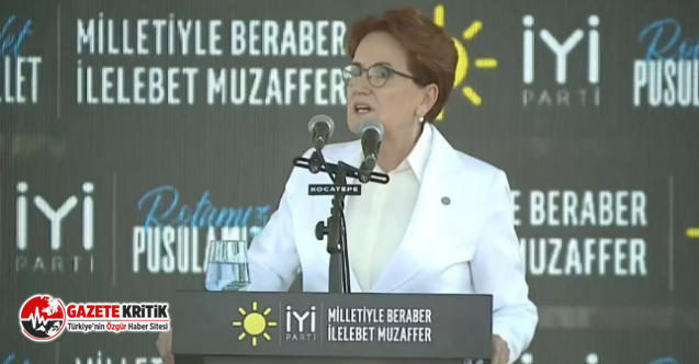 Meral Akşener, yerel seçimlere tek gireceklerini açıkladı