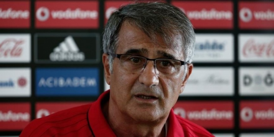 TFF'den Şenol Güneş'e teklif!